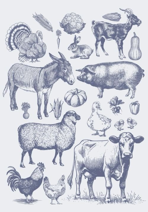Mona's homestead planner cover
