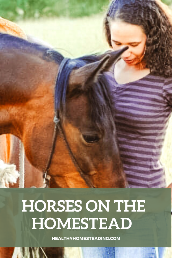 Horses on the Homestead