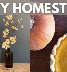 HEALTHY HOMESTEADING